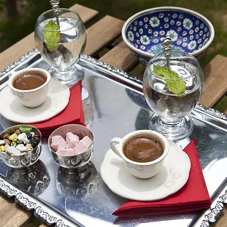 ゲストハウス Fi̇li̇zce Konuk Evi アラカティ