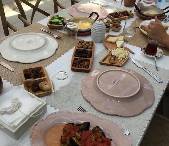 Fi̇li̇zce Konuk Evi *