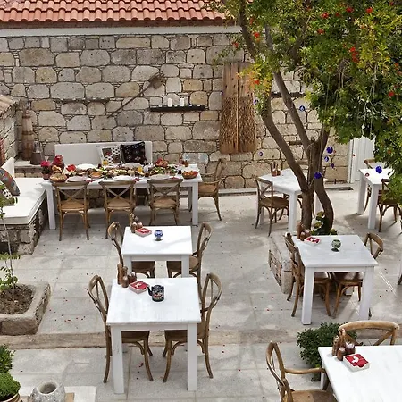 Pensión Fi̇li̇zce Konuk Evi