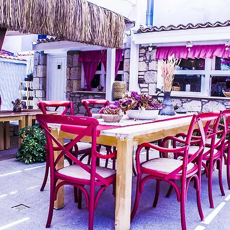 Pensión Fi̇li̇zce Konuk Evi